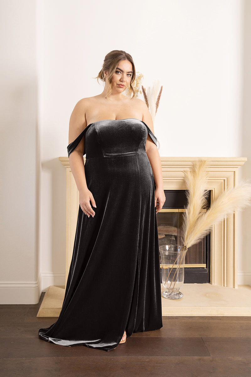 Rue Embroidered Velvet Dress